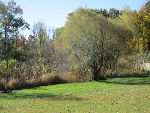 4512 E Stanton Rd, Stanton, MI 48888 photo 25
