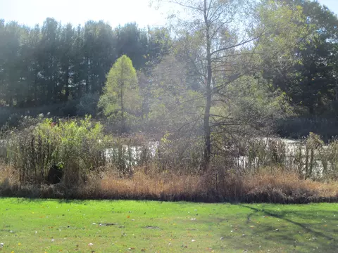4512 E Stanton Rd, Stanton, MI 48888 photo 24