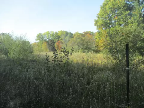 4512 E Stanton Rd, Stanton, MI 48888 photo 27