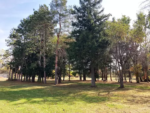 700 Hc Edmore Rd, Edmore, MI 48829 photo 34
