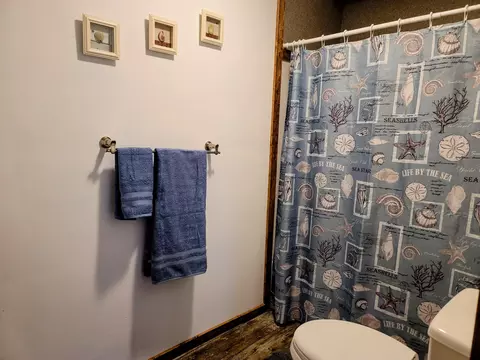 564 E State Rd, Coldwater, MI 49036 photo 11