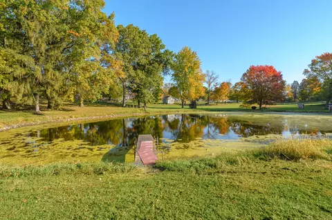 421 Abbott St, Colon, MI 49040 photo 49