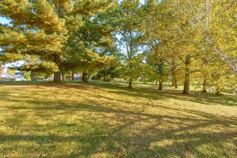 421 Abbott St, Colon, MI 49040 photo 51