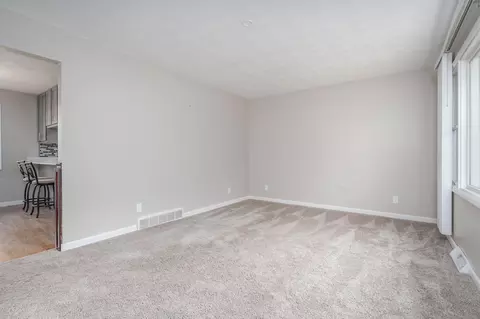421 Abbott St, Colon, MI 49040 photo 10