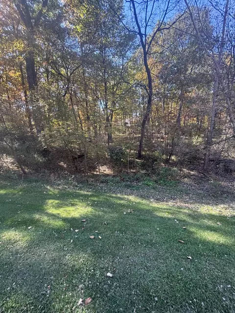 Strawberry Lake Vacant Lot Road, Whitmore Lake, MI 48189