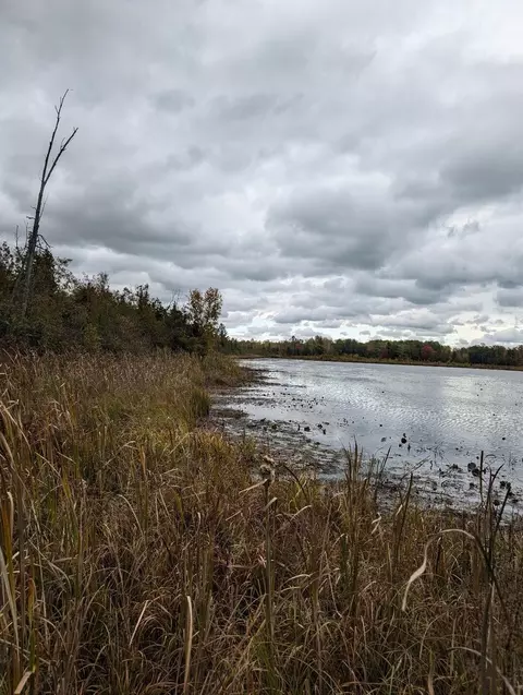 00 W Cedar Lake Rd, Greenbush, MI 48738
