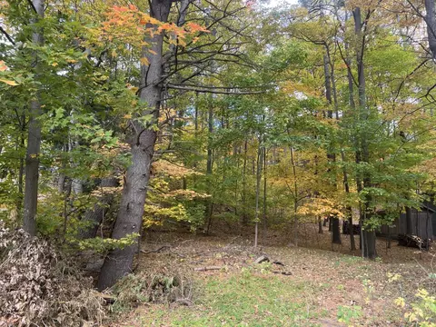 V/l W Beverly, Shelby, MI 49455
