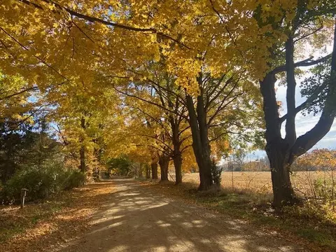 57 Th St #PARCEL B, Grand Junction, MI 49056