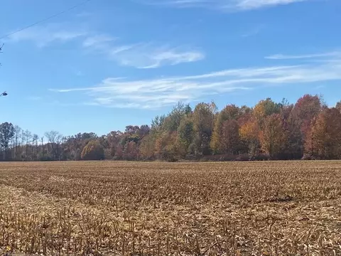 57 Th St #PARCEL E, Grand Junction, MI 49056