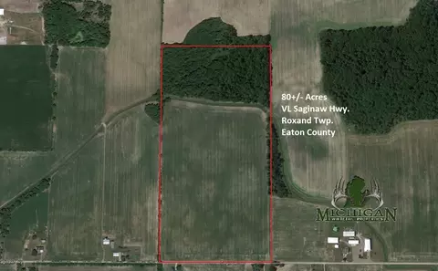 Vl Saginaw Hwy, Mulliken, MI 48861