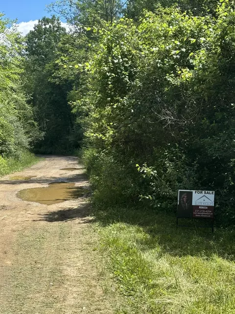 0 Chippewa Trl, Cass City, MI 48726
