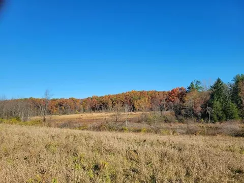 0 S Tripp Rd, Osseo, MI 49266
