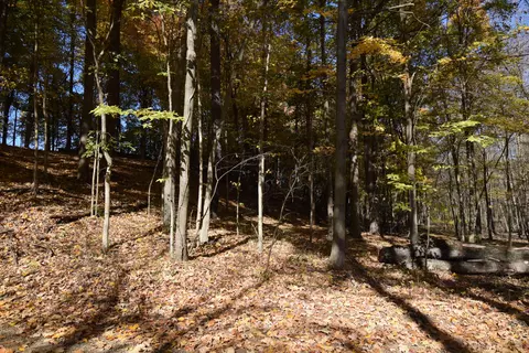 00003 38th Ave, Bangor, MI 49013