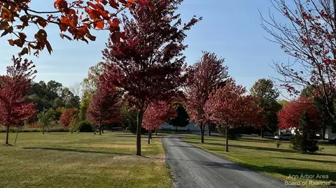 6670 Sutton Rd, Britton, MI 49229 photo 5