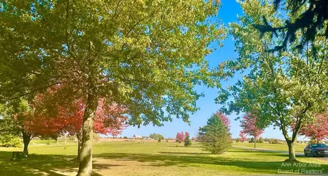 6670 Sutton Rd, Britton, MI 49229 photo 54