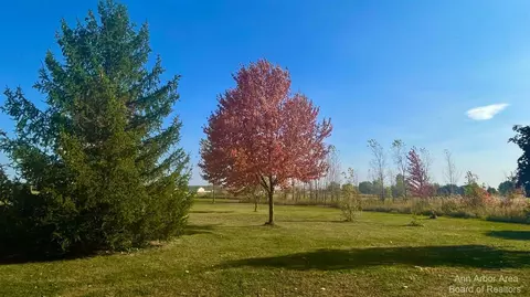 6670 Sutton Rd, Britton, MI 49229 photo 9