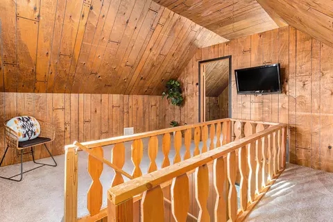 391 Dickerson Vw SW, Stanton, MI 48888 photo 18