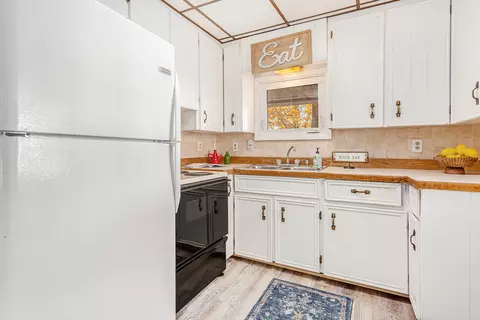 391 Dickerson Vw SW, Stanton, MI 48888 photo 8