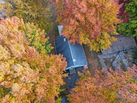 391 Dickerson Vw SW, Stanton, MI 48888 photo 39