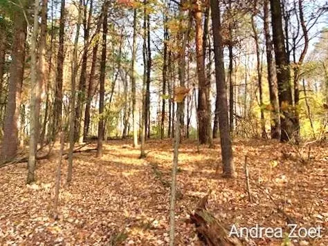 V/l #89 Pinehill Drive, Hastings, MI 49058