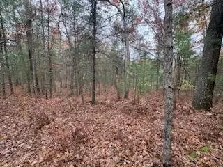 1 Winthrop Ave, Twin Lake, MI 49457