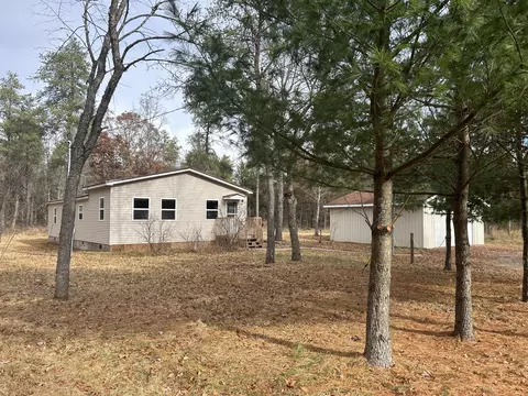 Exterior - 1040 E 92nd St, Bitely, MI 49309 photo 5 of 12