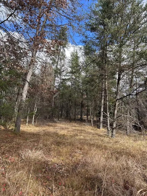 Other - 1040 E 92nd St, Bitely, MI 49309 photo 12 of 13