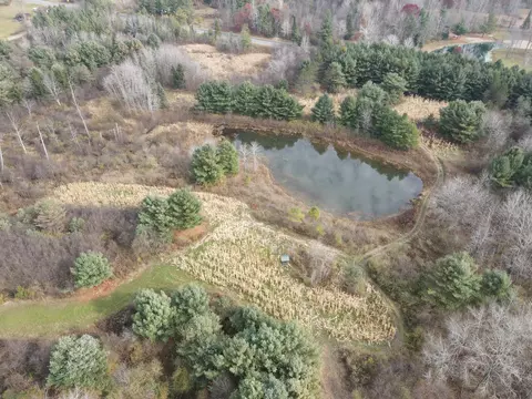 View/Area - 5616 Muma Rd, Gladwin, MI 48624 photo 14 of 21