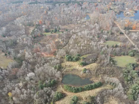 View/Area - 5616 Muma Rd, Gladwin, MI 48624 photo 10 of 21