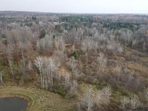 View/Area - 5616 Muma Rd, Gladwin, MI 48624 photo 19 of 21