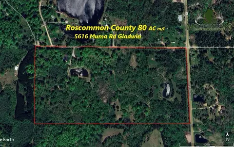 View/Area - 5616 Muma Rd, Gladwin, MI 48624 photo 2 of 21