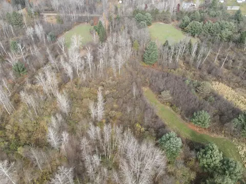 View/Area - 5616 Muma Rd, Gladwin, MI 48624 photo 15 of 21