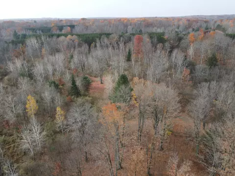 View/Area - 5616 Muma Rd, Gladwin, MI 48624 photo 18 of 21