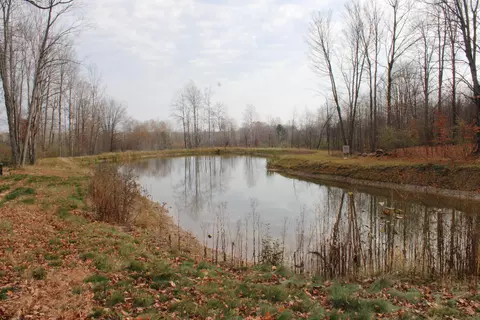 View/Area - 5616 Muma Rd, Gladwin, MI 48624 photo 5 of 21