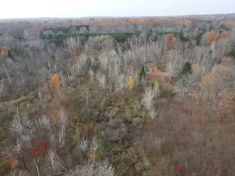 View/Area - 5616 Muma Rd, Gladwin, MI 48624 photo 16 of 21