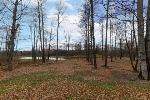 Exterior - 5616 Muma Rd, Gladwin, MI 48624 photo 14 of 20