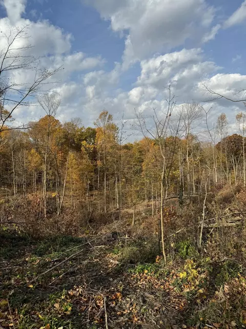 00000 Bald Hill St, Jones, MI 49061