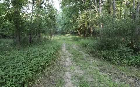 0 Rocky Rd, Lowell, MI 49331 photo 8