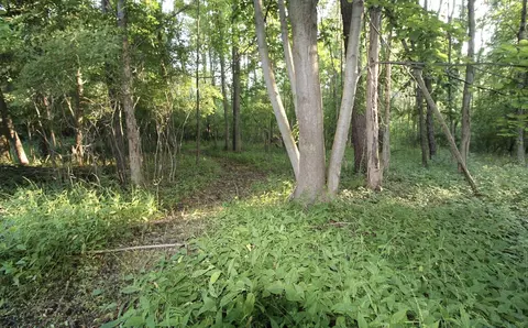 0 Rocky Rd, Lowell, MI 49331 photo 10