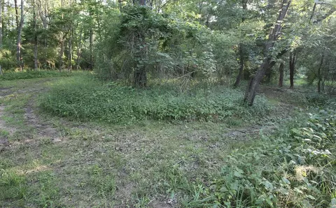 0 Rocky Rd, Lowell, MI 49331 photo 7