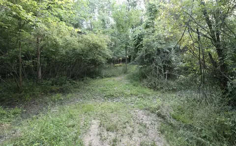 0 Rocky Rd, Lowell, MI 49331 photo 6