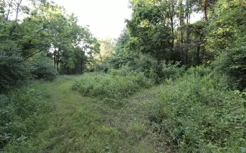 0 Rocky Rd, Lowell, MI 49331 photo 12