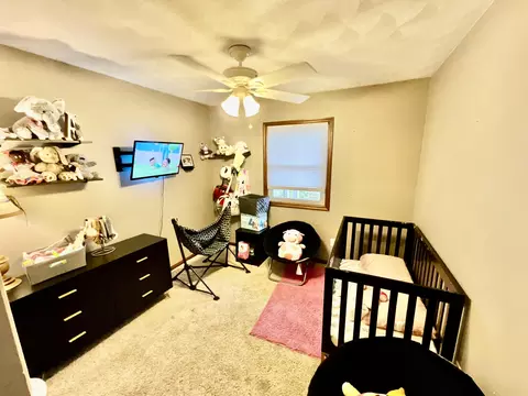 56844 Tomahawk Ct, Three Rivers, MI 49093 photo 11