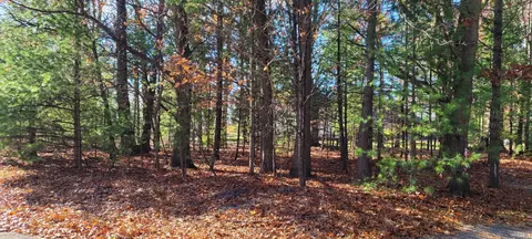 0 Hanover St, Pentwater, MI 49449
