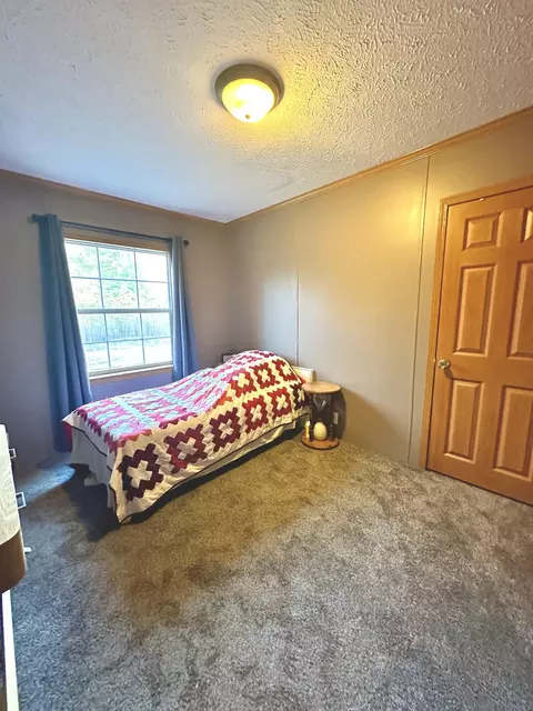 1110 E Johnson Rd, Shelby, MI 49455 photo 16