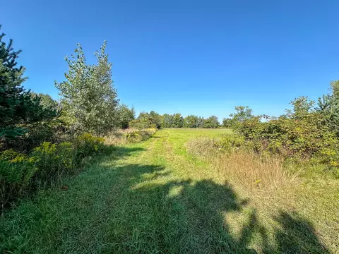 8 N Vl N Coleman Rd, Coleman, MI 48618 photo 15