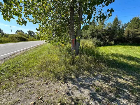 8 N Vl N Coleman Rd, Coleman, MI 48618 photo 27