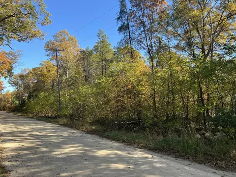 Vl Belfast Road, Whitehall, MI 49461