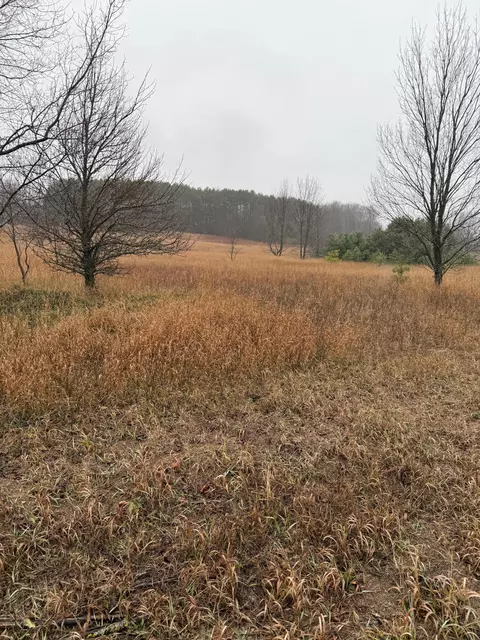 Tannerville, Kaleva, MI 49645 photo 8