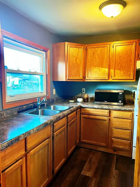 219 S 5th St, Edmore, MI 48829 photo 13